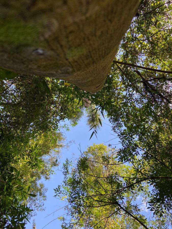 Sitio Metropole - Refugio Na Natureza Piraju Exteriör bild